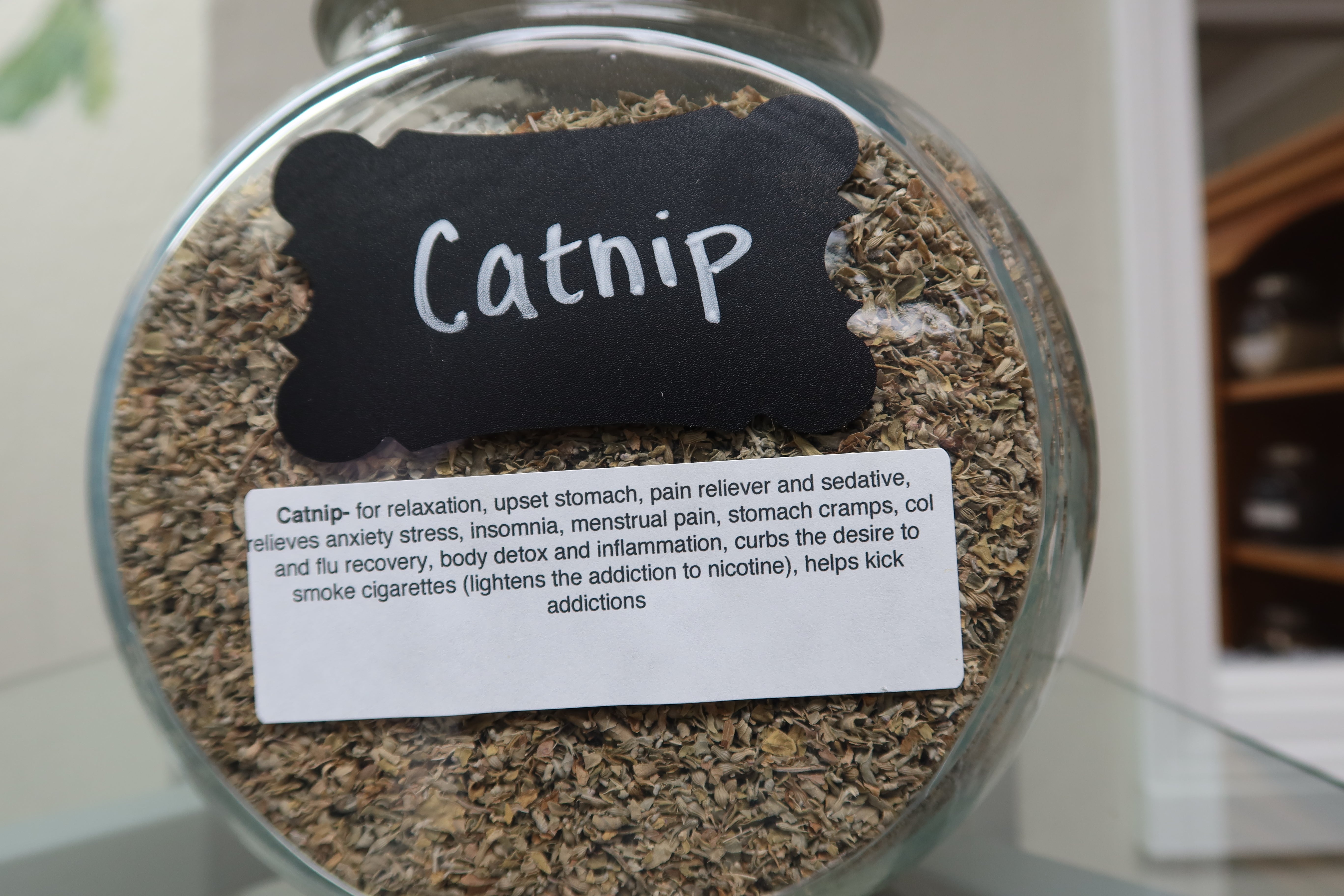 Catnip