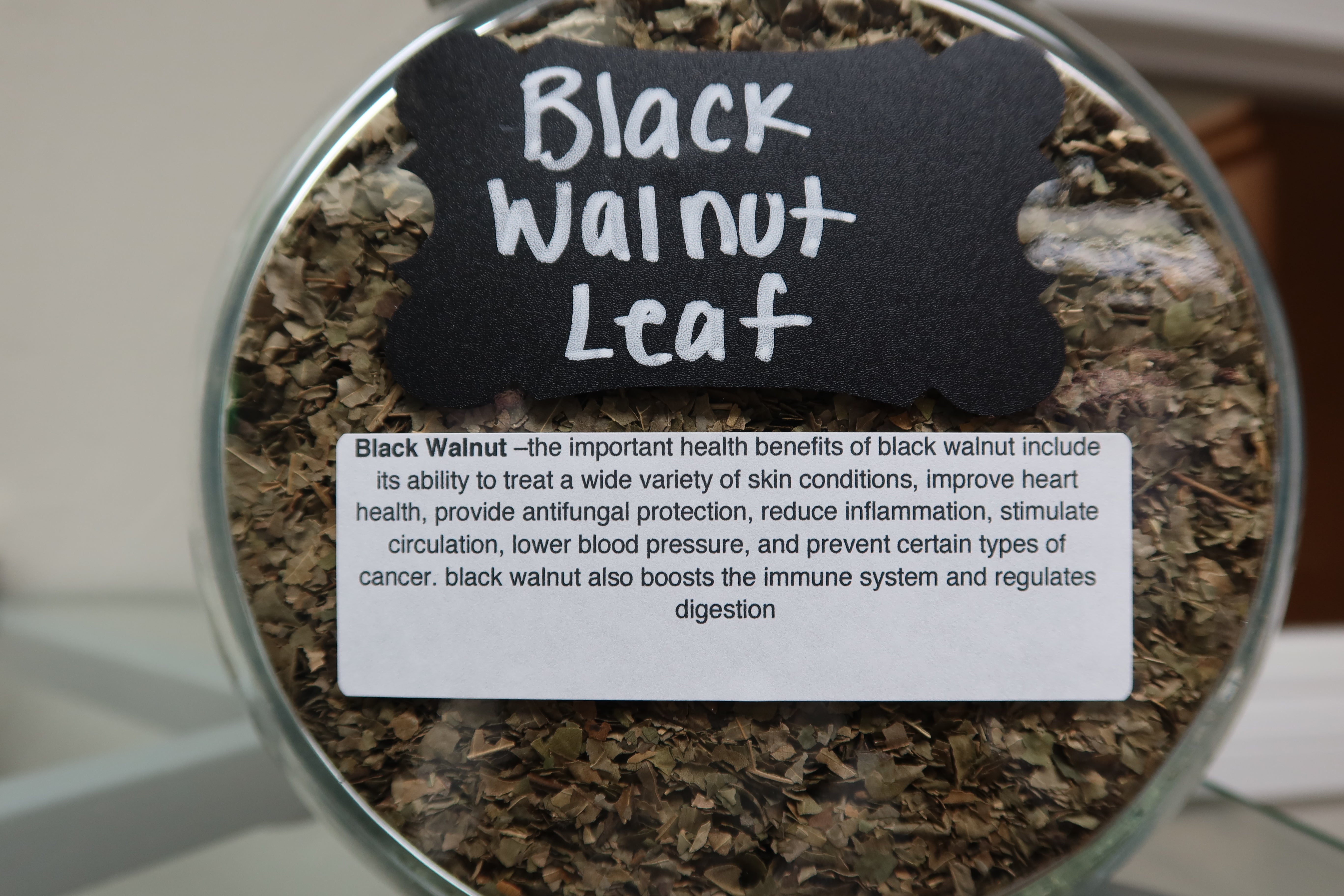 Black walnut leaf