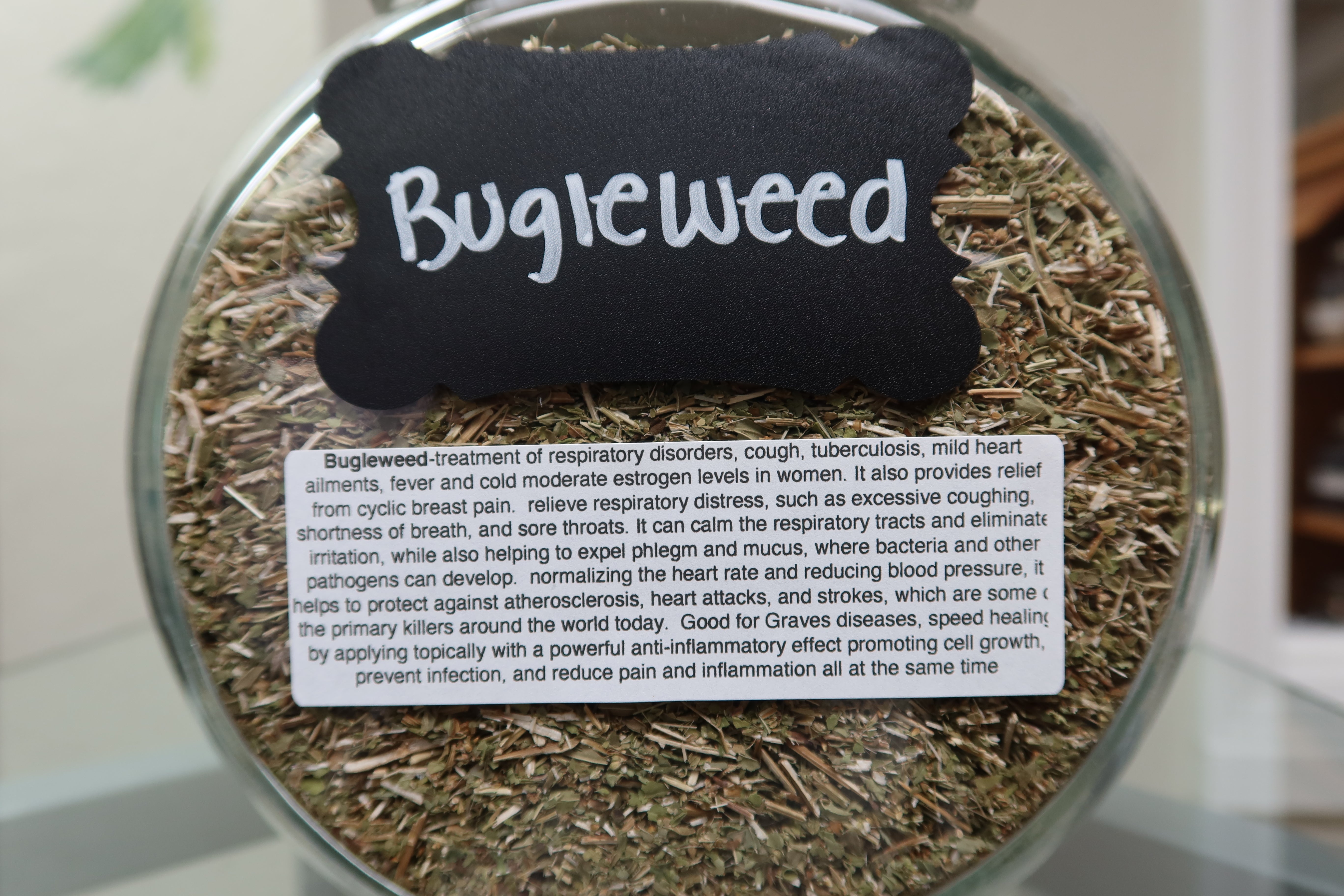 Bugleweed