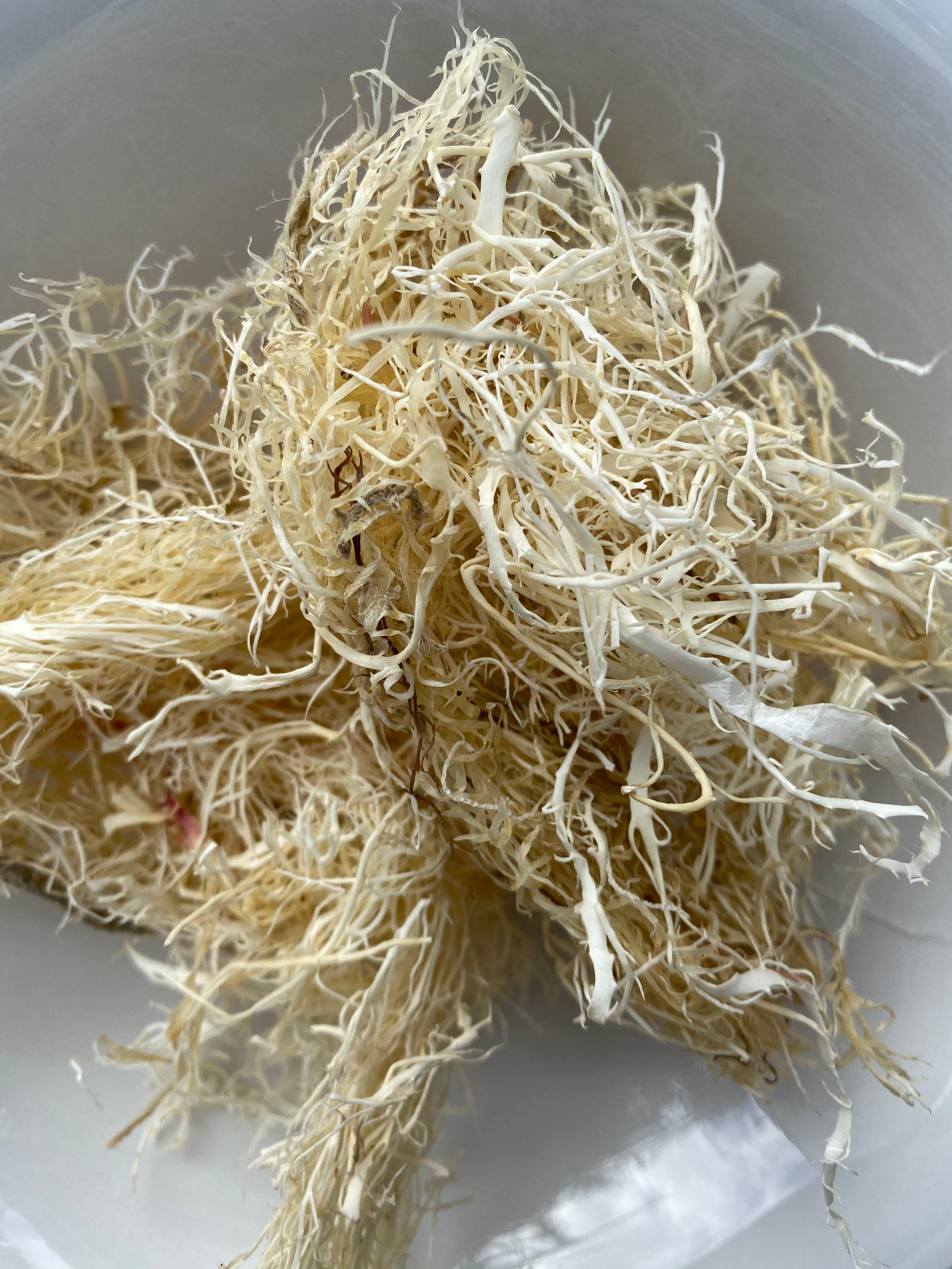 Temple (seamoss gel)