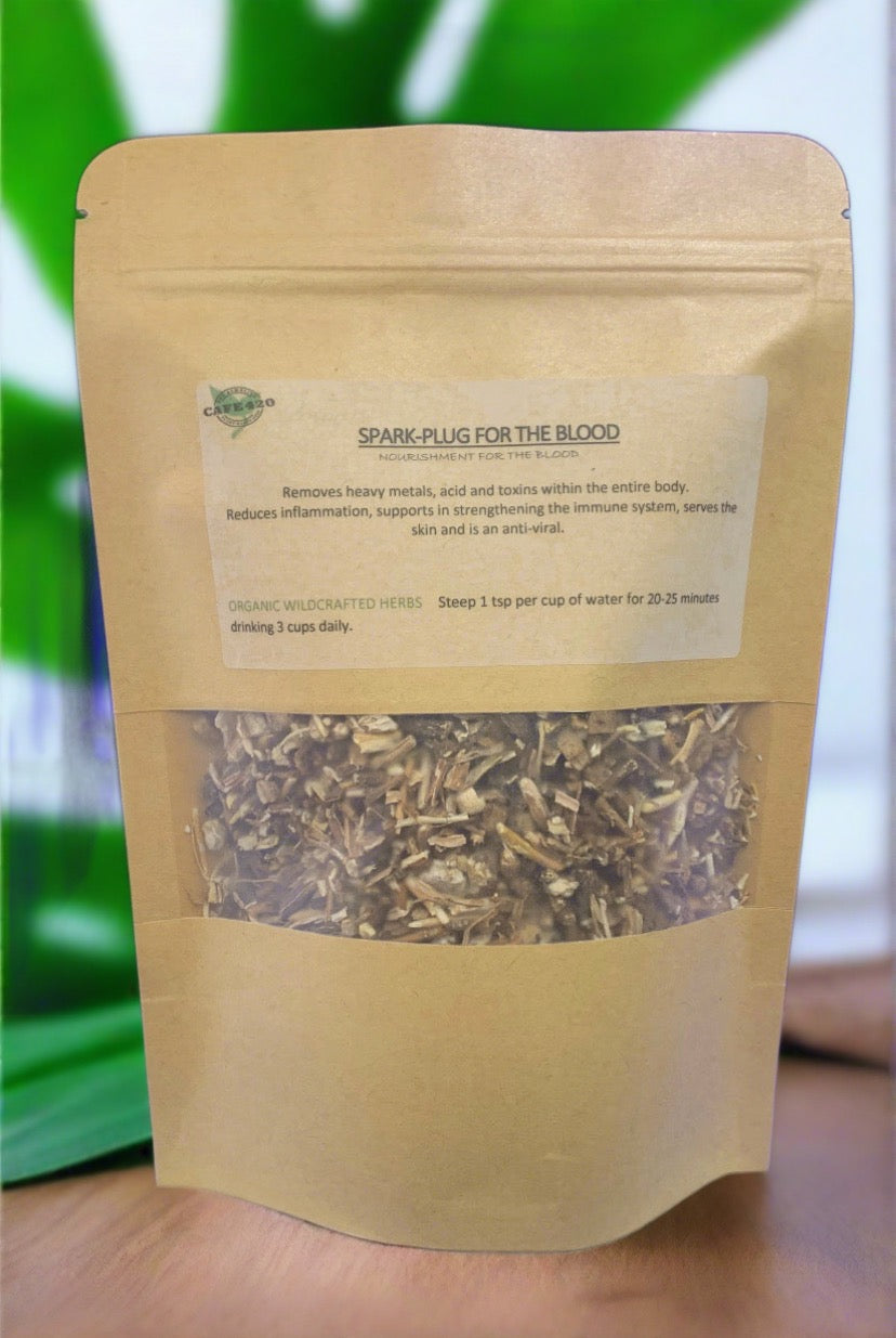 Spark-Plug For The Blood